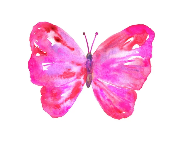 Różowy czerwony motyl. Ręcznie rysowane akwarela ilustracji. Izolowane na białym tle. — Zdjęcie stockowe