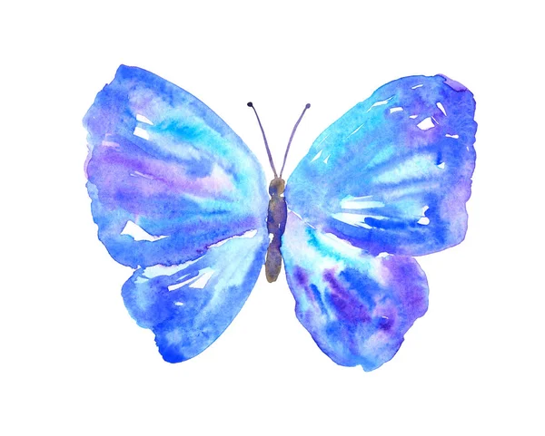 Niebieski fioletowy motyl. Ręcznie rysowane akwarela ilustracji. Izolowane na białym tle. — Zdjęcie stockowe