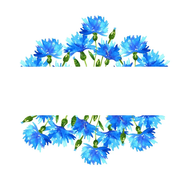 Plantilla con acianos. Marco con hermosas flores azules. Ilustración acuarela dibujada a mano. Aislado sobre fondo blanco . — Foto de Stock