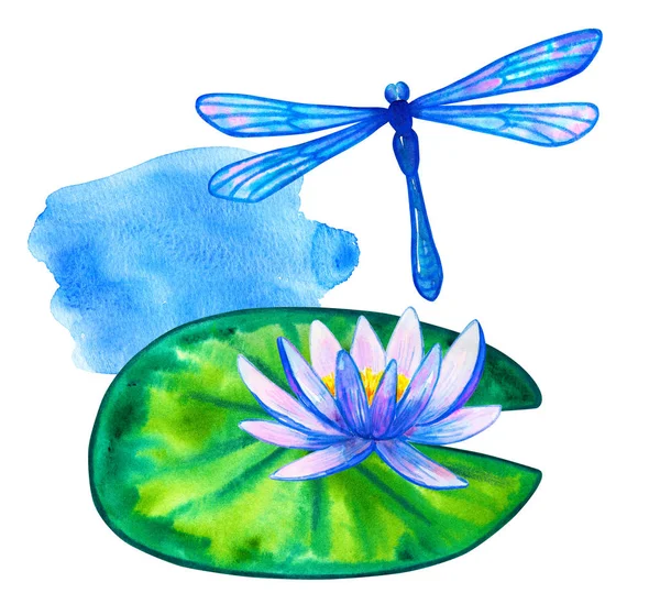 Niebieska różowa lilia wodna na zielonym liściu. Ręcznie rysowane akwarela ilustracji. Izolowane na białym tle. — Zdjęcie stockowe