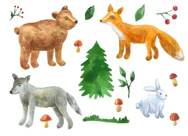 Lesní živočichové v roztomilým stylu: vlk, medvěd, liška, zajíc. Sada prvků pro návrh. Smrk, houby, bobule, větve. Ručně vykreslené akvarel. Izolované na bílém pozadí. — Stock fotografie