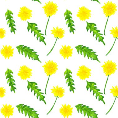 Karahindiba ile dikişsiz desen. Elle çizilmiş suluboya illüstrasyon. Baskı, kumaş, tekstil, duvar kağıdı için doku.