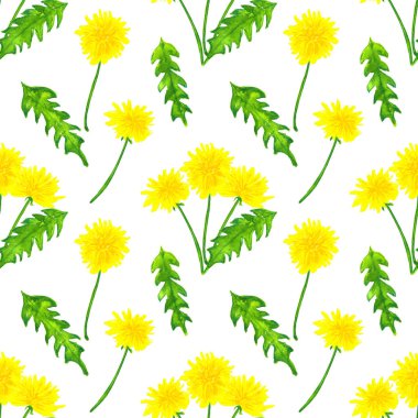 Karahindiba ile dikişsiz desen. Elle çizilmiş suluboya illüstrasyon. Baskı, kumaş, tekstil, duvar kağıdı için doku.