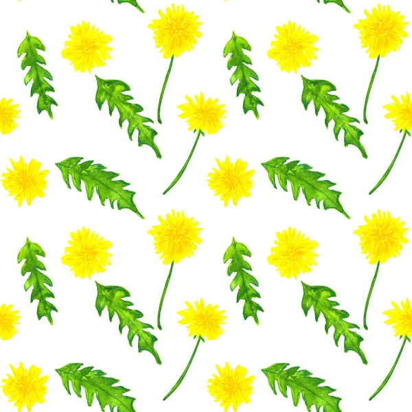 Karahindiba ile dikişsiz desen. Elle çizilmiş suluboya illüstrasyon. Baskı, kumaş, tekstil, duvar kağıdı için doku.