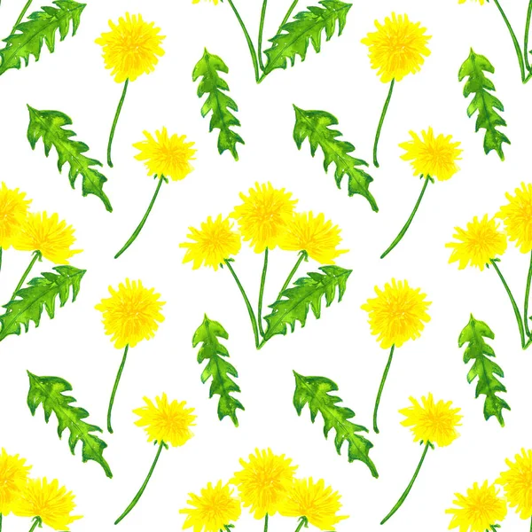 Karahindiba ile dikişsiz desen. Elle çizilmiş suluboya illüstrasyon. Baskı, kumaş, tekstil, duvar kağıdı için doku.