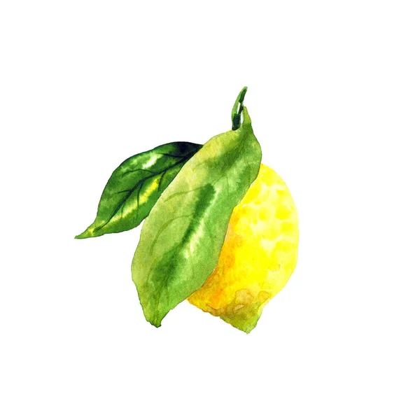 Limone con foglia verde. Frutto giallo brillante. Elemento botanico per il design. Illustrazione ad acquerello disegnata a mano. Isolato su sfondo bianco . — Foto Stock