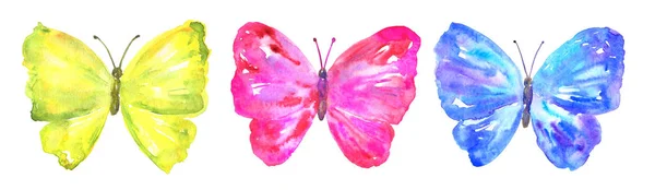 Kolorowe Motyle: żółty, różowy, niebieski. Ręcznie rysowane akwarela ilustracji. Izolowane na białym tle. — Zdjęcie stockowe