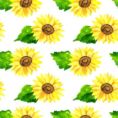 Yeşil yaprakları ile parlak ayçiçeği. Kusursuz desen. Elle çizilmiş suluboya illüstrasyon. Baskı, kumaş, tekstil, duvar kağıdı için doku.