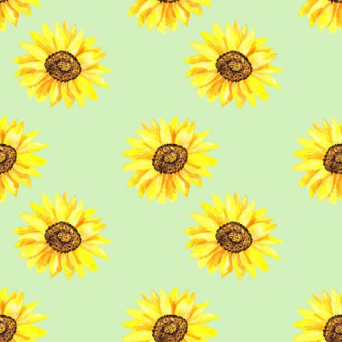Parlak ayçiçeği. Kusursuz desen. Elle çizilmiş suluboya illüstrasyon. Baskı, kumaş, tekstil, duvar kağıdı için doku.