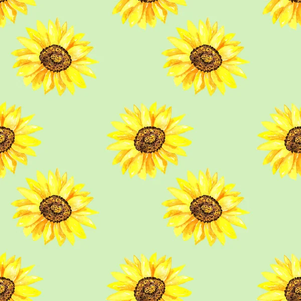 Sunflower Field Wallpaper  Çiçek Duvar kağıdı Galeri
