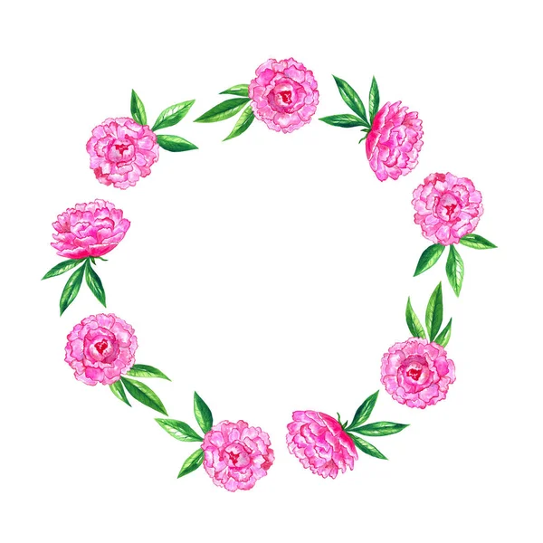 Pedónias rosa brilhantes. Moldura floral redonda. Ilustração desenhada à mão aquarela . — Fotografia de Stock