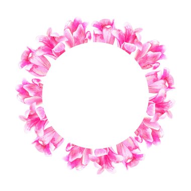 Yuvarlak çiçek çerçevesi. Pembe laleler. Elle çizilmiş suluboya illüstrasyon. Beyaz arka planda yalıtılmış.