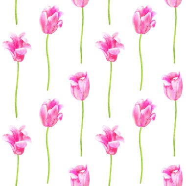 Kusursuz desen. Pembe laleler. Elle çizilmiş suluboya illüstrasyon. Beyaz arka planda izole edilmiş. Baskı, kumaş, tekstil, duvar kağıdı için doku.