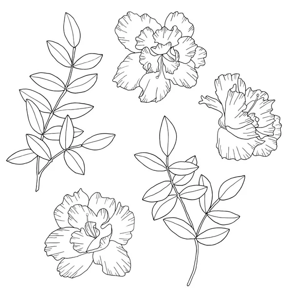 Abstrakta blommor och grenar med löv. Handritad vektor illustration. Svartvit svart och vitt bläck skiss. Linje konst. Isolerad på vit bakgrund. Målarsida — Stock vektor