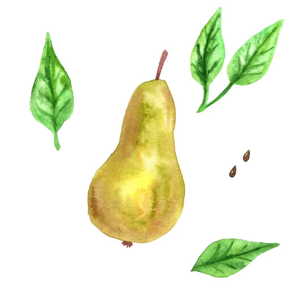 Gröna gula päron och gröna blad. Handritad akvarell illustration. Isolerad på vit bakgrund. — Stockfoto