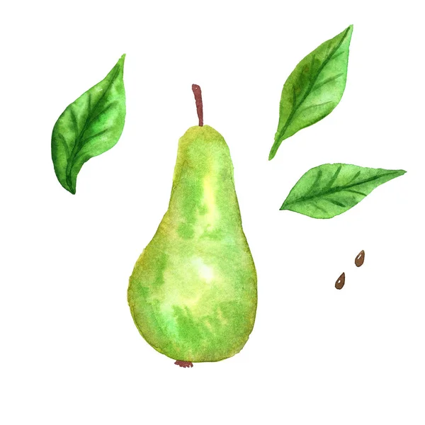 Gröna päron och gröna blad. Handritad akvarell illustration. Isolerad på vit bakgrund. — Stockfoto