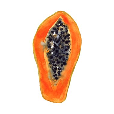 Papaya'yı kes. Tropikal meyveler. Elle çizilmiş suluboya illüstrasyon. Beyaz arka planda yalıtılmış.