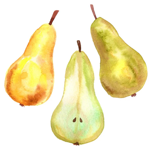 Grönt gult päron, skär päron och gult rött päron. Handritad akvarell illustration. Isolerad på vit bakgrund. — Stockfoto