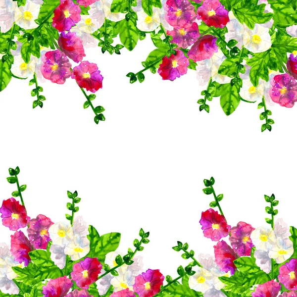 Kvadratisk mall. Rosa lila Mallow med löv. Vit Mallow. Handritad akvarell illustration. Isolerad på vit bakgrund. — Stockfoto