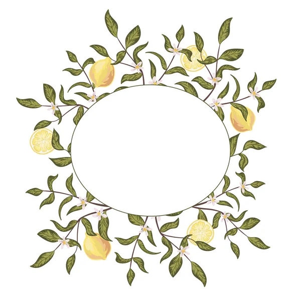 Marco botánico redondo con limones y flores. Ilustración dibujada a mano vectorial. Aislado sobre blanco. Perfecto para invitaciones de boda, tarjetas de felicitación, cosméticos naturales, impresiones, carteles, embalaje y té . — Vector de stock