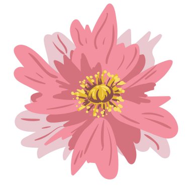 Pembe çiçek. Vektör el çizimi illüstrasyon. Beyazda izole edilmiş