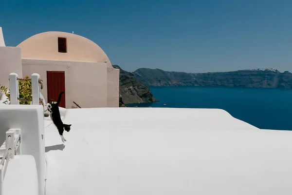 Bílé Domy Luxusní Vily Hotely Oia Santorini Ostrov Řecko — Stock fotografie