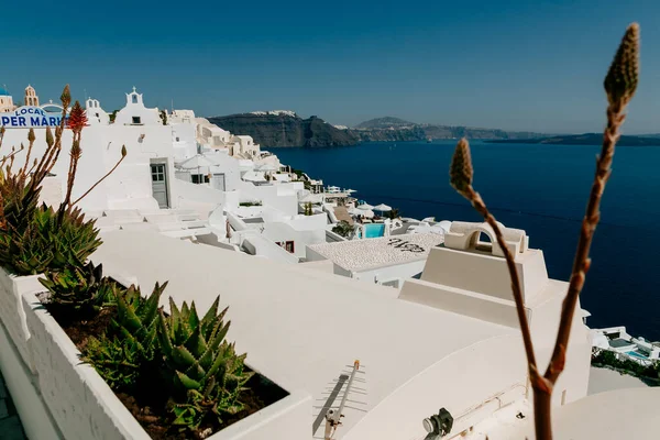 Beyaz Evler Lüks Villalar Oteller Oia Santorini Adası Yunanistan — Stok fotoğraf
