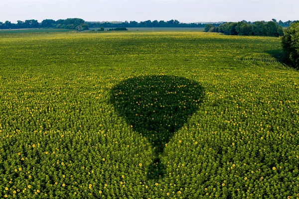 Silhouette Ombre Ballon Volant Dessus Champ Vert Avec Des Fleurs — Photo