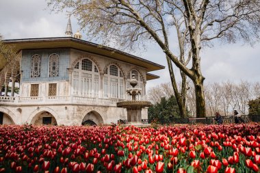 İstanbul, Türkiye 'deki Topkapı Sarayı ve önünde kırmızı laleler