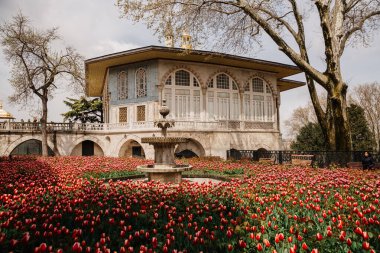 İstanbul, Türkiye 'deki Topkapı Sarayı ve önünde kırmızı laleler