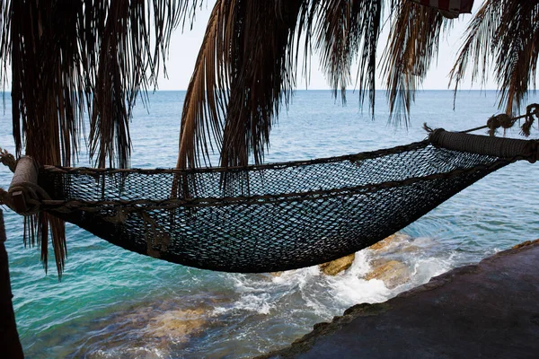Hammock Palms Sea Thailand Asia Relaxed Holiday — Stock Photo, Image
