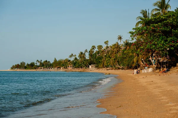 Tropical Beach Thailand Blue Ocean White Sand Palms — Stock Photo, Image