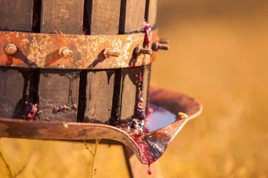 üzüm basın makine ahşap varil. Ev yapımı şarap üretimi