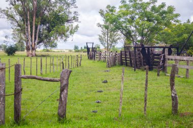 eski ahşap çiftlik çit mera sığır için