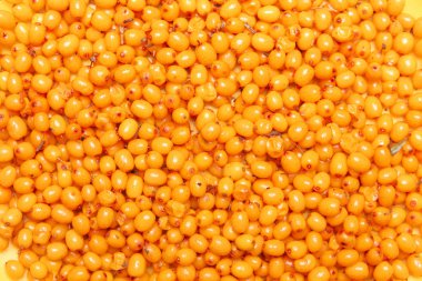 Deniz topalak arka plan sarı turuncu taze meyveler