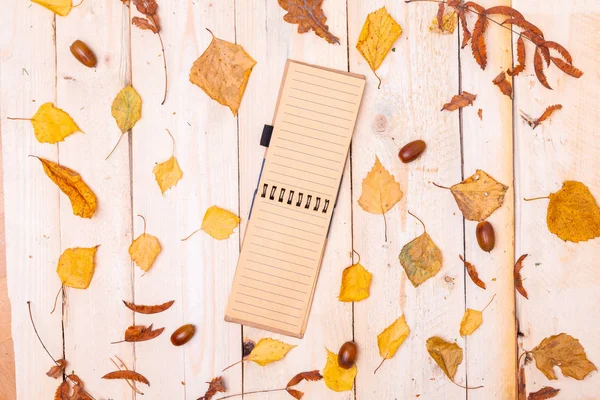 Spiral notepad in center of wooden desk with dry yellow leaves — Stock Photo, Image