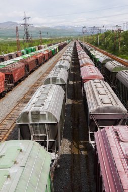 İstasyonu ile birçok trenler gündüz yük, yukarıdan görüntüleme