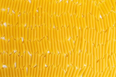 İtalyan Penne Rigate Makarna Makarna çiğ gıda arka plan