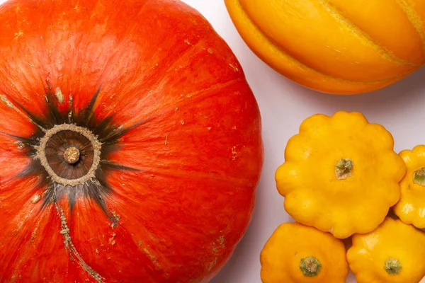 büyük yarım turuncu ve birkaç küçük bush kabak sarı