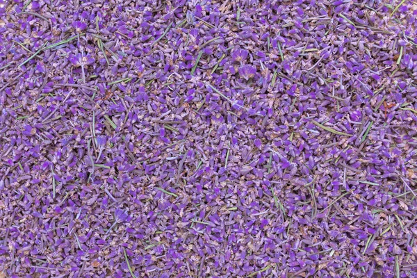 lavender dried scattered flowers background, top view