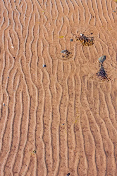 Brązowy rzeka zakrzywione linie piasek tło — Zdjęcie stockowe