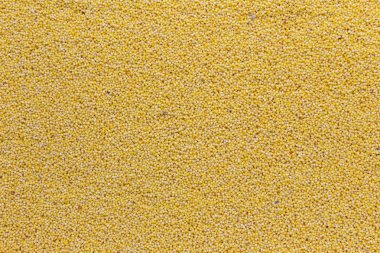 Sarı darı arka plan