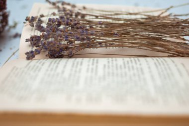 Lavanta avuç kurutulmuş çiçekler tarihinde açılan kitap, açık gri