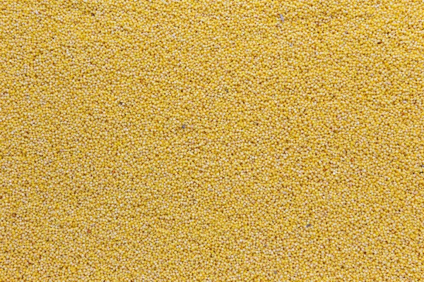 Sarı darı arka plan