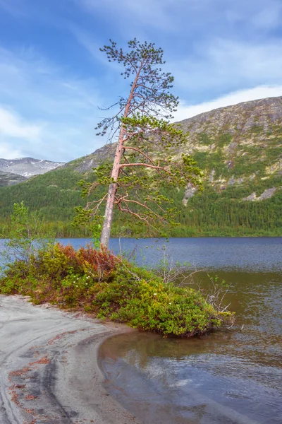 Lake in the mountains, landscape. Khibiny mountains, Murmansk region, Russia. — Stock Photo, Image