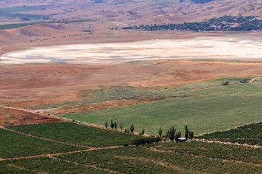 Üzüm bağları ve tarım alanlarının panoramik havadan görünümü