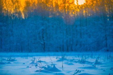 Kış karlı bir ormanda günbatımı arka plan bulanık.
