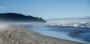 Plaj Kuzey kafa feneri ve Seaview beach yaklaşım, arasında Washington