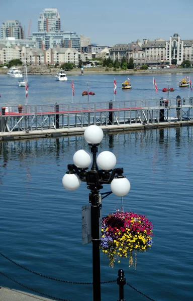 Titta Inner Harbor Marina Och Gatlyktor Från Belleville Street Victoria — Stockfoto