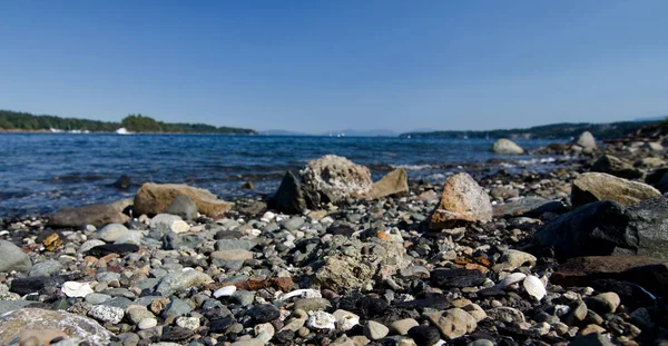 Nízký Úhel Pohledu Kameny Oblázky Přenos Beach Cheb — Stock fotografie